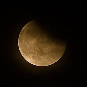 Meet your Posher, Leslie